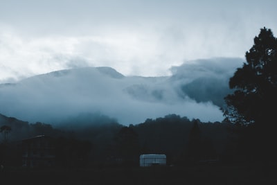 白天大雾笼罩的山